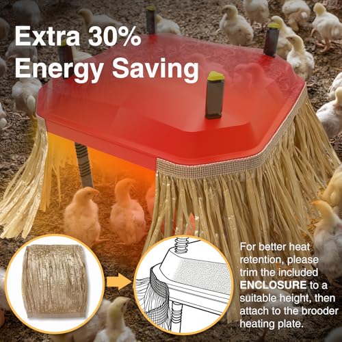 Chick Brooder Plate Coop Heat Plate for Baby Chicks 16"×24" with Adjustable Height & Angle and Auto Temperature Control, Heater with Skirt to Mimic the Comfort of a Mother Hen, Red - size: 24.0"L x 16.0"W x 8.9"H