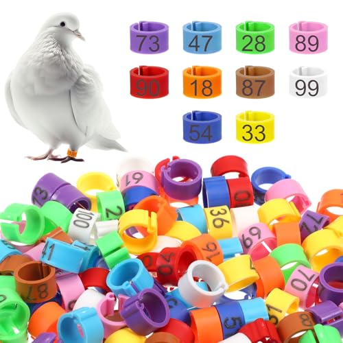 100 Pcs 8mm Birds Leg Rings, Colorful Readable Numbered Pigeons Quail Chick Identification Leg Bands Clip on Leg Rings for Baby Chick Bantam Finch Dove Small Birds
