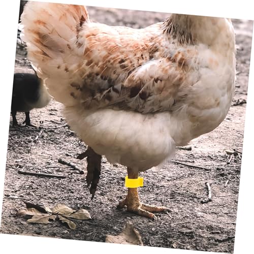 SUPVOX 100Pcs Adjustable Poultry Leg Bands for Chickens Ducks and Geese Colorful Identification Rings Open-Style Clips for Farm Marking and Bird Supplies Color
