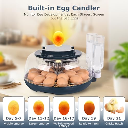 Incubators for Hatching Eggs, 18 Eggs Incubator with Egg Candler, Auto Egg Turner, Temp & Humidity Control, Hatch Day, Auto Water Refill, 2 Size Egg Tray, 360° Viewing for Chicken, Duck, Quail - size: 18 Chicken Eggs