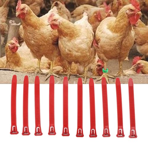 ZJchao Chicken Leg Bands, Adjustable Plastic Poultry Identification Leg Rings with Clear Colorfast Number Engraving for Duck Goose Chicken (Red) - color: Red