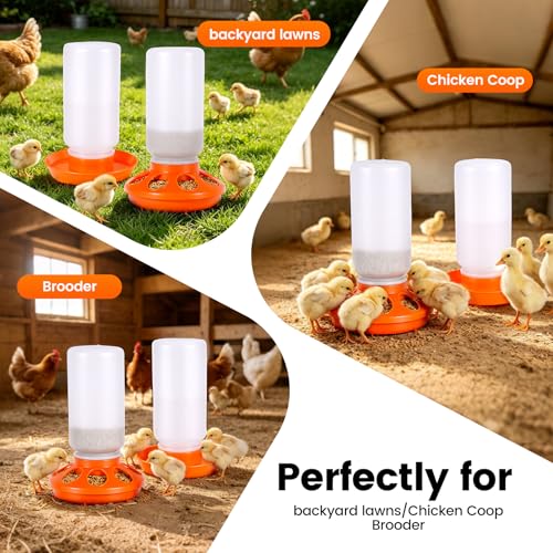 Chick Feeder and Waterer Set 1L for Baby Chicks, Ducks, Quail | Quail Feeder Waterer Kit, Backyard Chicken Coop Brooder Supplies