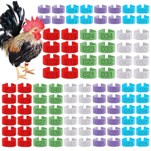 Chicken Identification Leg Bands,Poultry Chicks Identification Tags Multicolor - Id Rings Management Equipment for Animal Breeding Farms Research Institutions