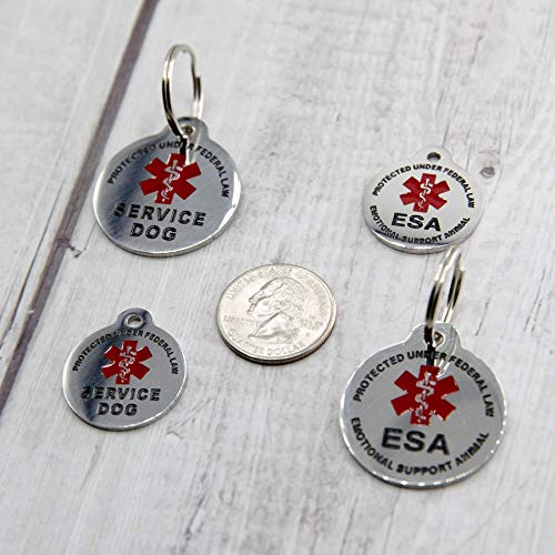 Engraved Service Dog Personalized with 4 Lines of Custom Engraved ID Stainless Steel Enameled - size: Small (Pack of 1)
