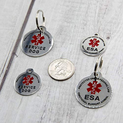 Engraved Service Dog Personalized with 4 Lines of Custom Engraved ID Stainless Steel Enameled - size: Small (Pack of 1)