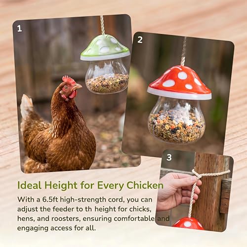 Hanging Chicken Peck Toy，2-Piece Mushroom-Shaped Chicken Enrichment Toys Boredom Busters，Slow-Feed Chicken Toys for Coop-Red & Green (Red & Green) - color: Red & Green