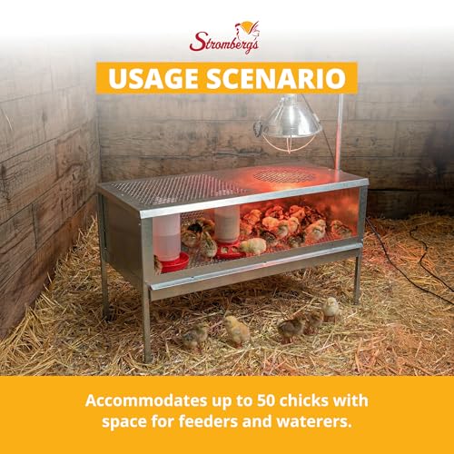 Stromberg's Stand Up Chick Brooder, Elevated Chicken Brooder Pen with Lamp Stand, Removable Tray, Wire Floor, Ventilated Steel Design, Raised Frame for Easy Cleaning and Chick Care