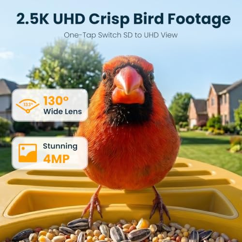 Smart Bird Feeder with Camera, Yellow | 2.5K UHD, AI Identifies 11,000+ Bird Species, Real-time Videos & Pictures, Solar Powered, Wireless for Outdoor, Gift - color: Yellow
