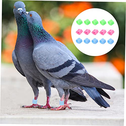 GANAZONO Pigeon Anklet Bird Leg Ring Identification Bands Plastic Chicken Leg Bands for Pigeons