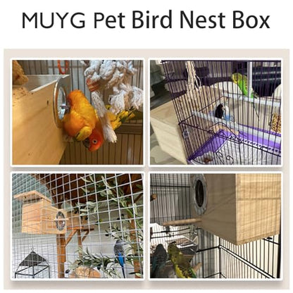 Natural Wood Bird Nesting Box,Acrylic Parakeet Nesting Box Transparent Cockatiel Nest House with Perch Wooden Parrot Nest for Lovebird Budgie Conure Canary Finch(Medium) - size: Medium