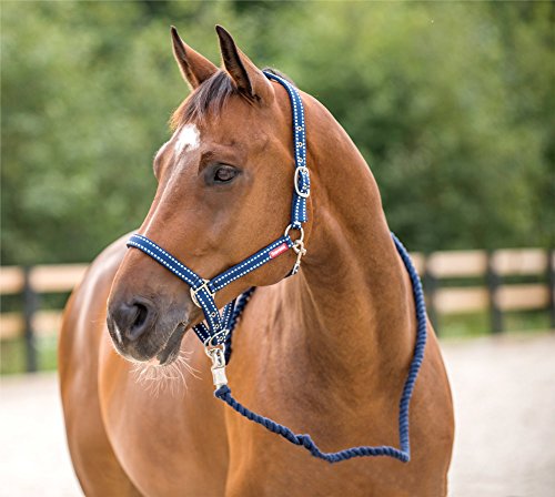 Horze Cooper Halter with Lead Rope - Peacoat Dark Blue - Horse - color: Peacoat Dark Blue, size: Horse