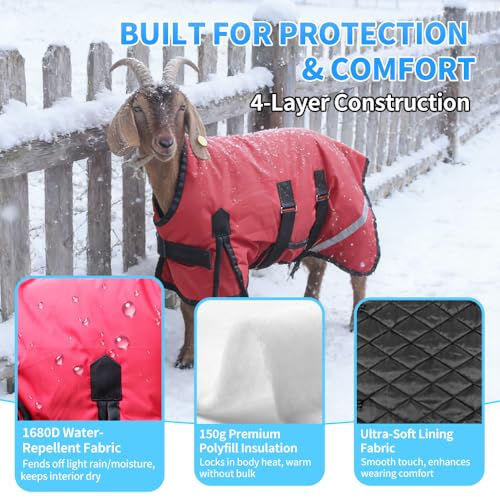 Winter Goat Blanket with Adjustable Belly Wrap for Teenage Lambs (4-8 Months), Adult Goats, Sheep, Medium/Large Breed Dogs, Calves & Mini Pigs, 1680D Water Resistant, 150g 【25.5” Back】 - color: Red, size: Small