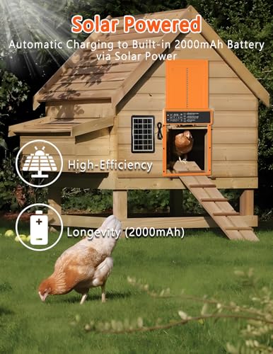 Automatic Chicken Coop Door Solar Powered, LCD Display, Durable Aluminum Alloy Chicken Door with Timer & Light Sensor Setting, Remote Control, Weatherproof, Energy-Saving, Solar Panel or USB Charging