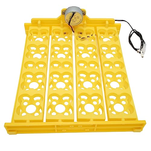 Egg Incubator Tray, Multifunction Automatic Egg Turner Incubator Tray Eggs Automatic Egg Turner Turning Tray for 16 Duck Eggs 16 Eggs 72 Quail Eggs Incubation (AC12V) - size: AC12V