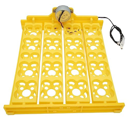 Egg Incubator Tray, Multifunction Automatic Egg Turner Incubator Tray Eggs Automatic Egg Turner Turning Tray for 16 Duck Eggs 16 Eggs 72 Quail Eggs Incubation (AC12V) - size: AC12V