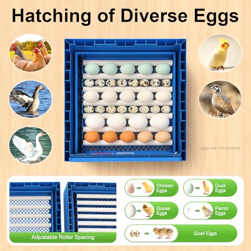 Incubators for Hatching Eggs, 128 Eggs Incubator Automatic Hatcher with Egg Turning and Humidity Control 80W for Chicken Duck Goose Bird Quail Pigeon Poultry Egg Incubator - style: 128-Egg Poultry Hatcher