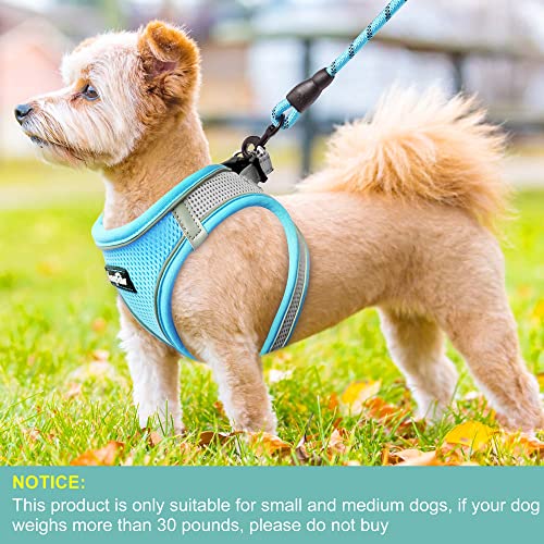 haapaw Dog Harness with Leash Set, No Pull Adjustable Reflective Step-in Puppy Harness with Thickened Padded Vest for Extra-Small/Small Medium Dogs - color: Grey / Blue, size: XS