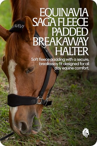 Equinavia Saga Fleece Padded Breakaway Halter - Black - Cob - color: Black, size: Cob