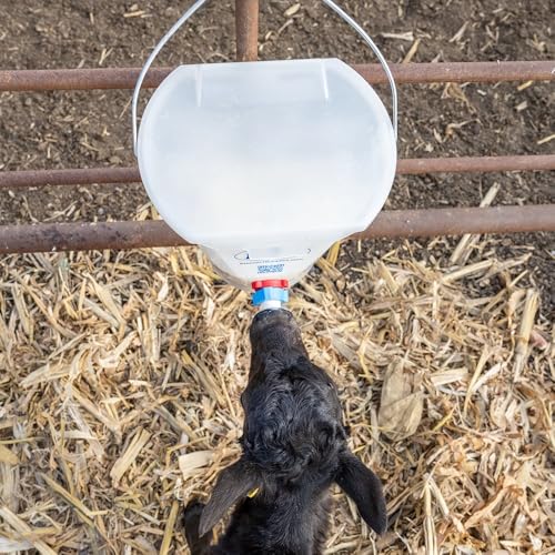 Premier 1 Orphan Calf Milk Feeding Bucket - 2 Gallon