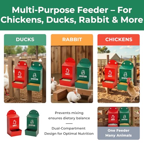 Rustproof Chicken Grit and Oyster Shell Feeder 2 Pack, Heavy Duty Metal Poultry Feeders for Coop or Fence, Rainproof Dual Compartment Wall Mounted Feeder for Outdoor Chicken Coops