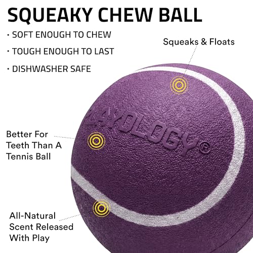 Playology Dog Toys | Squeaky Chew Ball for Dogs, Value 2-Pack | Bacon Scented Medium Dog Balls | Bouncy Floating Chew Toys for Fetch - size: Medium (VALUE 2-Pack), style: Bacon