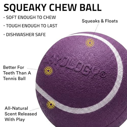 Playology Dog Toys | Squeaky Chew Ball for Dogs, Value 2-Pack | Bacon Scented Medium Dog Balls | Bouncy Floating Chew Toys for Fetch - size: Medium (VALUE 2-Pack), style: Bacon