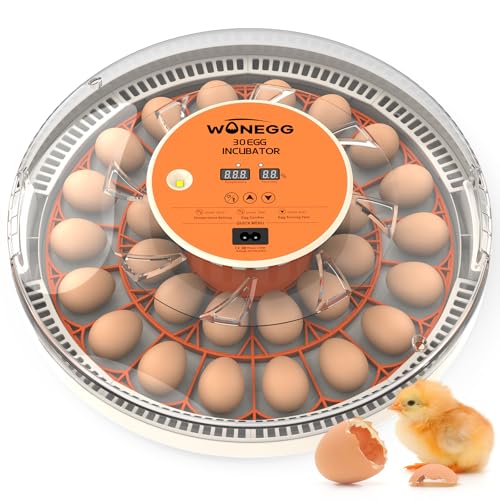 Incubators for Hatching Eggs with Automatic Egg Turning, Auto Temperature Control, Humidity Display, LED Egg Candler, 30 Eggs Incubator for Chicken, Quail, Parrot Eggs