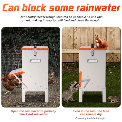 30lbs Automatic Chicken Feeder and Duck Feeder for Outside, Metal Chicken Feeders No Waste, Large Poultry Feeder for Chickens, Ducks, Geese, Pigeons, Dogs, Cats (Orange)