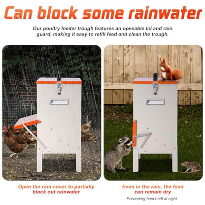 30lbs Automatic Chicken Feeder and Duck Feeder for Outside, Metal Chicken Feeders No Waste, Large Poultry Feeder for Chickens, Ducks, Geese, Pigeons, Dogs, Cats (Orange)