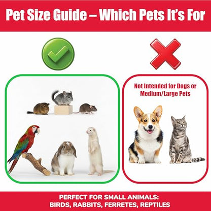 SPOT Stainless Steel Mini Coop Cup with Wire Hooks – 10 oz Small Pet Food & Water Bowl, Rust-Resistant & Easy to Clean, Attaches to Cages for Birds, Parrots, Rabbits, Ferrets, Rats & Small Pets