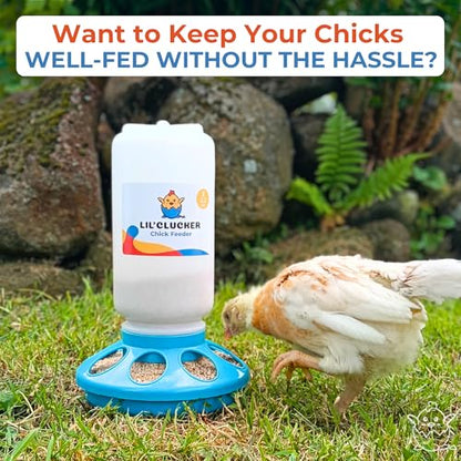 Lil'Clucker 1L Chick Feeder, 1.5L Chicken Waterer - No Leakage Chick Feeder and Waterer Kit, Durable Chicken Water Feeder, Chicken Feeder and Waterer Set, Poultry Waterer (Blue) - color: Blue