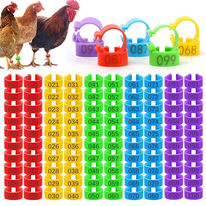 16mm Numbered Poultry Leg Bands – Colorful Chicken Leg Rings for Ducks, Geese, Turkeys, Game Birds – Bird Identification Bands for Poultry Breeding & Flock Management