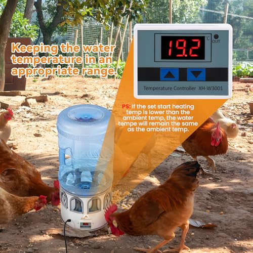 5 Gallon Chicken Waterer for Winter | Heated Chicken Waterer, Temperature Controlling for Ducks, Geese