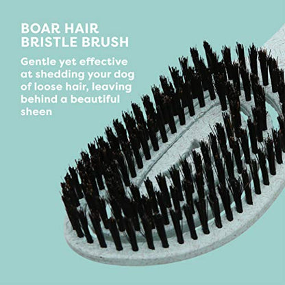 BioSilk for Dogs Eco-Friendly Boar Hair Bristle Brush in Mint Green | Easy to Hold Ergonomic Handle Dog Brush for Shedding | Best Pet Brush for Dog Grooming - 48 Pack - size: 48 Count