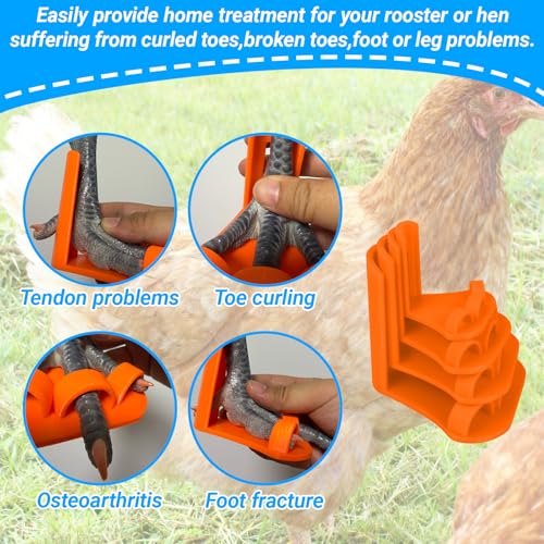 4-Size Chick Leg Splints for Splayed Leg, Soft Poultry Hobble Kit for Spraddle Leg - Adjustable Brace for Baby Chicks & Ducklings (Orange, Includes 2 Extra Straps)