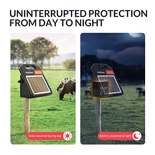 Electric Fence Chicken Netting Kit - Electric Poultry Netting, 48" x 164' Electric Fence Netting with 0.16 Joule Solar Electric Fence for Chickens, Ducks, Turkeys, Easy Installation