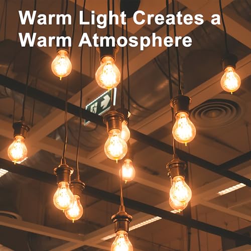 Warm Incandescent Light Bulbs 60 Watt,A19/A60 Vintage Style Edison Bulbs E26,Soft Yellow Light Bulbs,Amber Bulbs,Retro Light Bulb Old Fashioned,Halogen Dimmable Edison Bulb Squirrel Cage 12 Pack - size: 12 Count (Pack of 1)