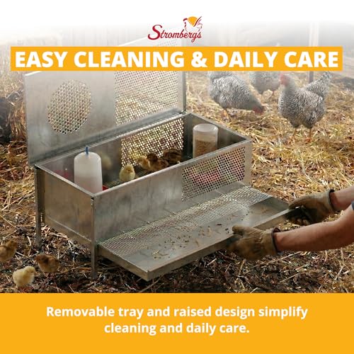 Stromberg's Stand Up Chick Brooder, Elevated Chicken Brooder Pen with Lamp Stand, Removable Tray, Wire Floor, Ventilated Steel Design, Raised Frame for Easy Cleaning and Chick Care