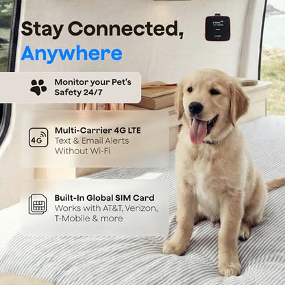 Waggle RV Pet Temperature Monitor with GPS & AQI - 4G Cellular, No WiFi Required - Real-Time App, SMS & Email Power Outage Alerts - Home, Car, RV & Vacation Safety - Subscription Required - style: Pro+Air (Subscription Required)