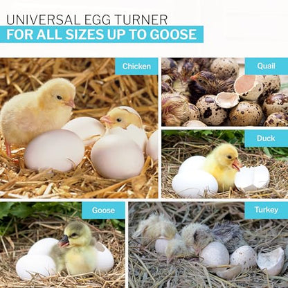 IncuView 3 Pro All-in-One Automatic Egg Incubator with Universal Egg Turner - style: IncuView 3 Pro Only