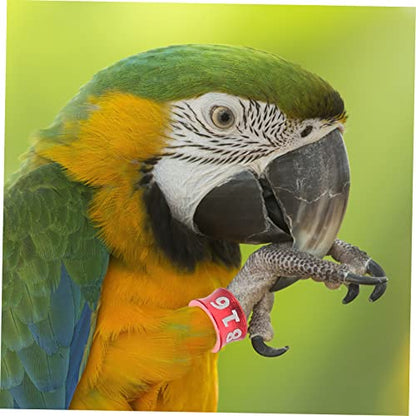 LIOOBO 50pcs Chicken Leg Bands Homing Pigeon Parrot Leg Rings Pigeon Foot Ring Small Closed Anklet