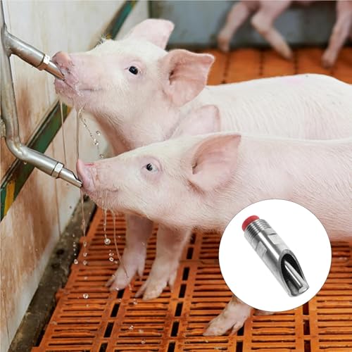 Pig Water Nipple 10Pcs Pig Waterer Stainless Steel Automatic Livestock Waterer Farm Animal Activated Water Feeder Bowl Rabbit Barn