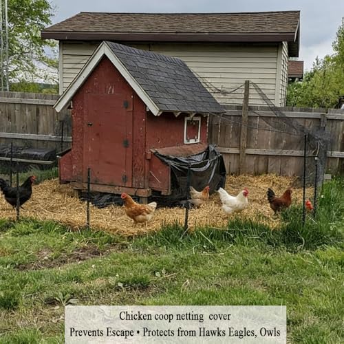 Bird Netting for Chicken Coop 50x100 FT, 1 in Mesh Chicken Run Netting Roof Cover Against Hawks, Eagles, Owls, Strong Woven Bird Netting for Garden, Fruit Tree, Plant, Vegetable Protection - size: 50X100 FT