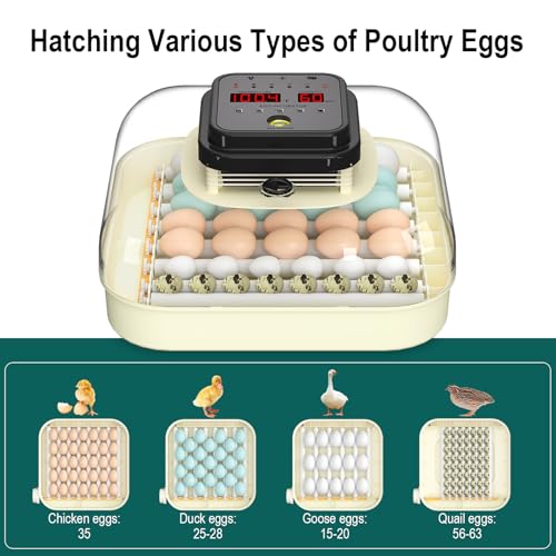 CoInceptus 35 Egg Incubator with Automatic Egg Turning and Humidity Control, Incubator for Chicken Eggs, Quail, Duck Eggs, with Egg Candler