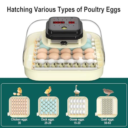 CoInceptus 35 Egg Incubator with Automatic Egg Turning and Humidity Control, Incubator for Chicken Eggs, Quail, Duck Eggs, with Egg Candler
