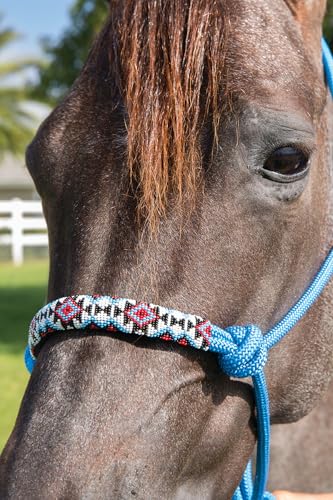 Professional's Choice Beaded Rope Halter | Intricate Beadwork on the Noseband | 7 Foot Matching Lead - color: Turquoise