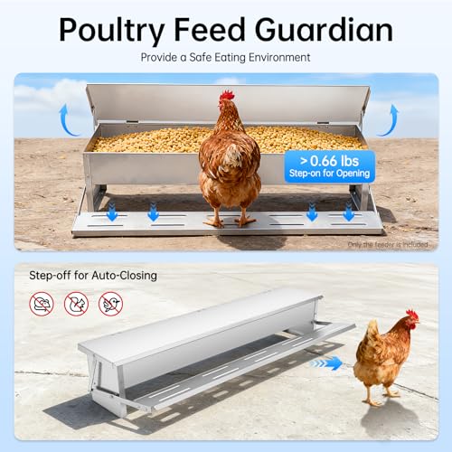 Automatic Chicken Feeder - 22 lbs Large Capacity Poultry Feeder, Rat Proof & Rodent Proof Treadle Chicken Feeder, Galvanized Steel with Lid, Feeds 6 Chickens/ 6 Ducks up to 10 Days