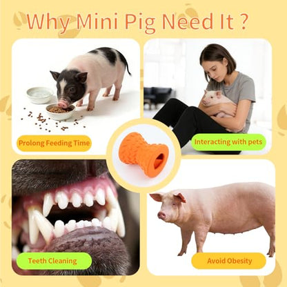 Treat Dispensing Ball for Pigs, Pig Enrichment Toys Food Dispenser for Mini Pigs, Slow Feeder Training Toy Pet Interactive Foraging & Rooting Toys for Pigs to Play with