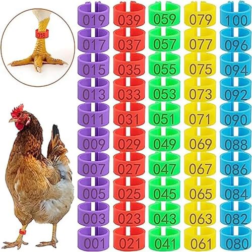 Adjustable Chicken Leg Bands 100 Pieces Chicken Leg Rings,Identification Bands,Poultry Leg Bands,Poultry Foot Rings for Pigeon Birds Chickens(Medium) - size: Medium