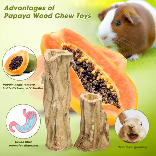 Abizoo Rabbit chew Toys for Bunnies,4 Pcs Natural Papaya Wood Chew Sticks Bunny Chews for Teeth Chinchilla Guinea Pig Hamster Gerbil Degu Small Animals to Keep Busy Molar Treats Toys - size: M